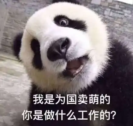 大熊猫表情包近日爆红网络,一张比一张有趣,网友亮点在最后