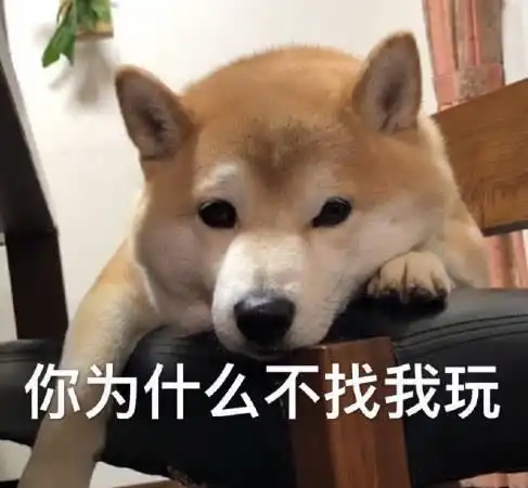 让人无话可接的软萌表情包谈什么恋爱,是手机不好玩吗