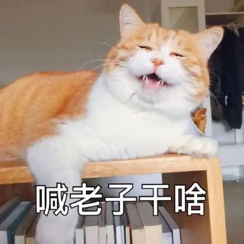 幽默段子笑话一场演出因为节目不精彩,观众都走光了