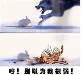 中医张总.我们小散很弱小