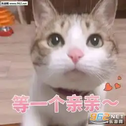 勉强达成共识猫咪表情包你还真是个十足的傻子表情包下载乐游网游戏下载