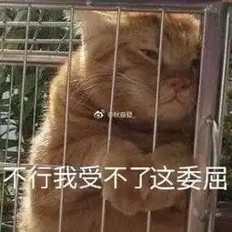 故宫里这个新年无敌豪华大展,让我惊叹到词穷了