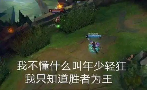 王思聪lol首秀有多少梗一张图片恶搞n个版本,光表情包就能笑死人