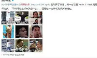 影帝莱昂纳多开微博向中国问好网友刷表情包欢迎