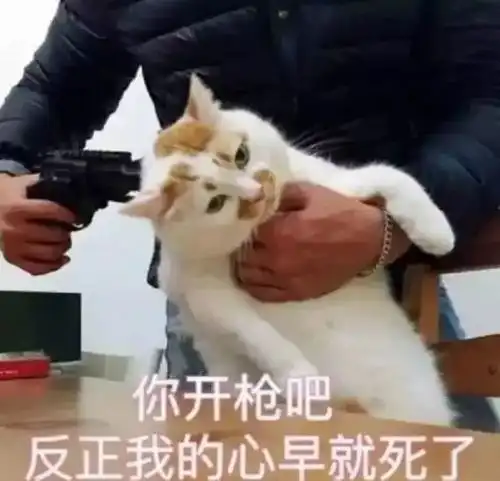过年我为什么不愿意回家看完扎心了......