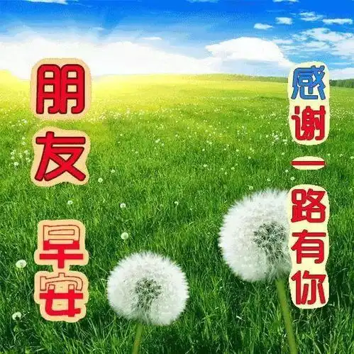 10月2日最漂亮早上好动态表情图片大全,早晨好美图大全