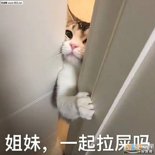 可以的我的小宝贝表情包我偏无理取闹除非先生抱抱表情包图片下载乐游网游戏下载
