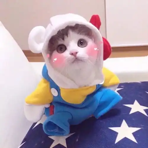 乱七八糟头像集