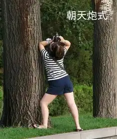 安发杯摄影大赛作品火热征集中,今天你拍了吗