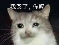 你的心像石头表情包我哭了你呢表情包下载乐游网游戏下载