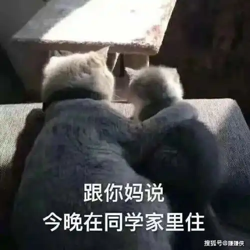 搞笑表情包图片沉重的打鸡,你住口