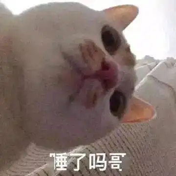 日常热门沙雕搞笑表情