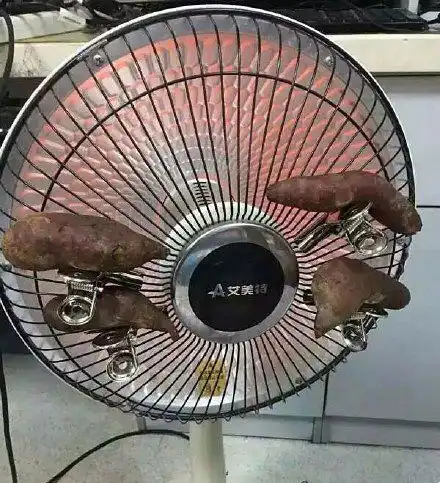 爆笑gif图哥们,用取暖扇烤地瓜会熟吗