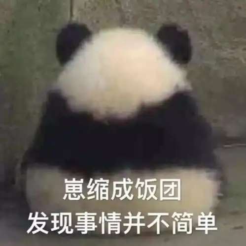 可爱小表情包熊和熊猫