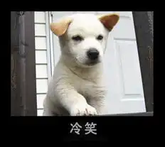 缅崆冗蓓沔挹胀磔轻在轻礞沩ta