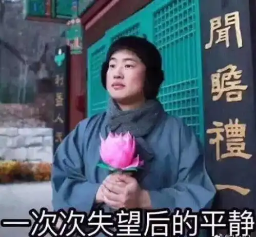 一夜爆红的佛系生活,是个什么梗