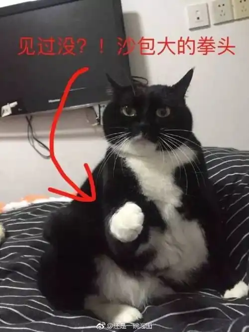 天津相声广播其实袜子是无辜的,脚才是真凶