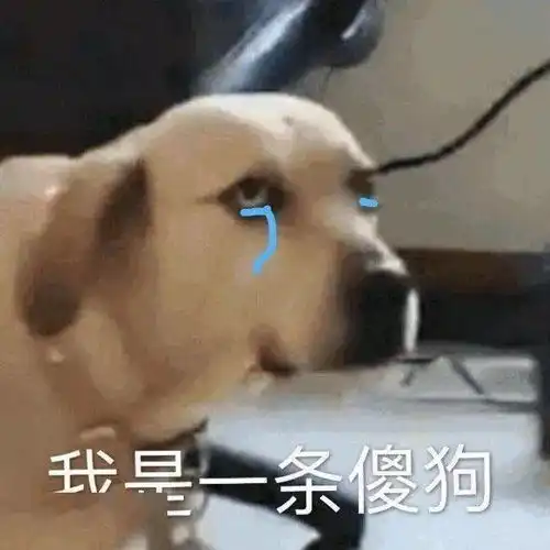 沙雕表情我恰柠檬
