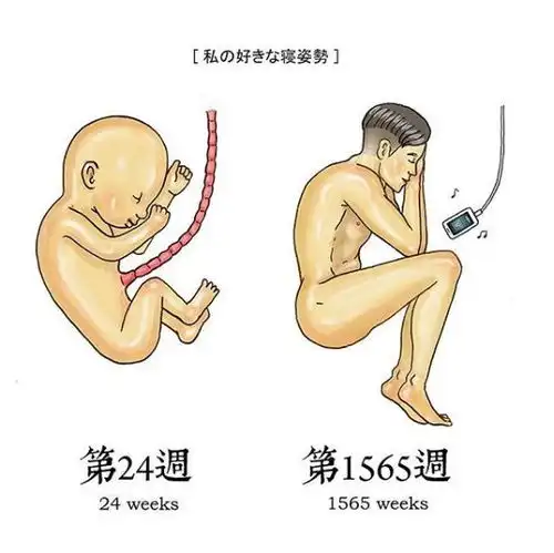 爆笑台湾插画师,用作品表现网络流行语