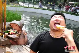 济南动物饲养员进笼子和金丝猴一起进食逗乐游客