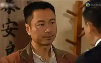 浅析中国电视剧产业的发展脉络下