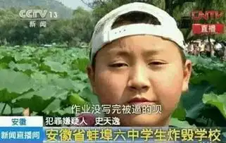 测试一个超长简介的文章