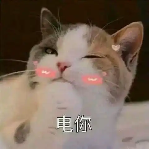 表情无水印搞笑萌宠表情包,猫系撒娇,我是不是你的小心肝表情