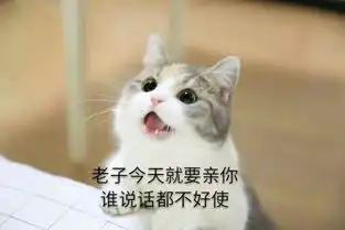 吹老婆彩虹屁表情包我老婆好好看哦