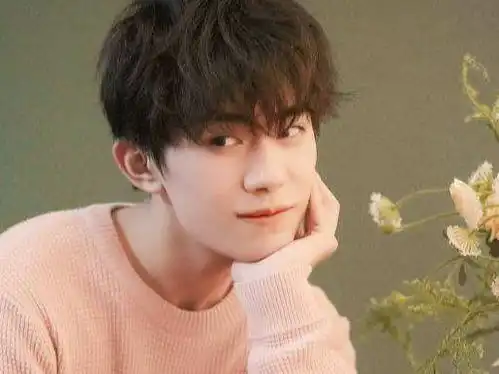 王俊凯被曝未毕业tfboys发展不同,网友该封杀