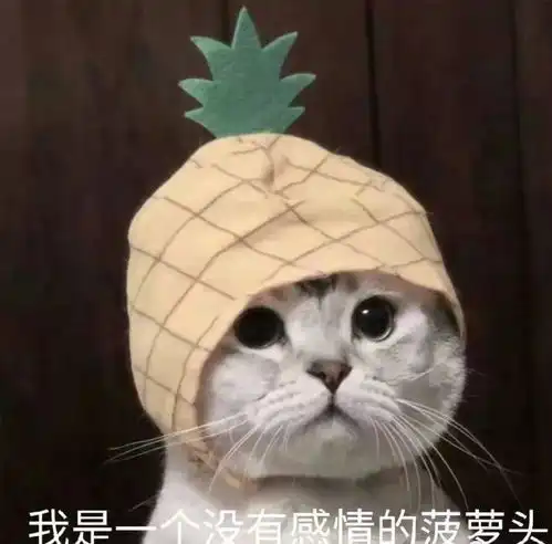 我的猫在我腿上咕噜咕噜地叫着,但它根本不关心我...