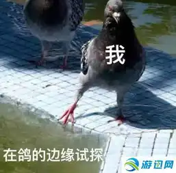 刀塔自走棋阵容灵活变换实战分析