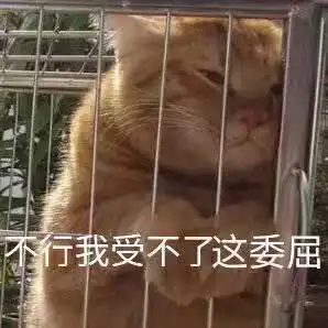可爱高糊表情包不行我受不了这委屈