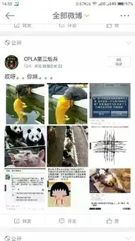 测试一个超长简介的文章
