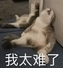 像不像初入机器人圈一脸懵圈的你