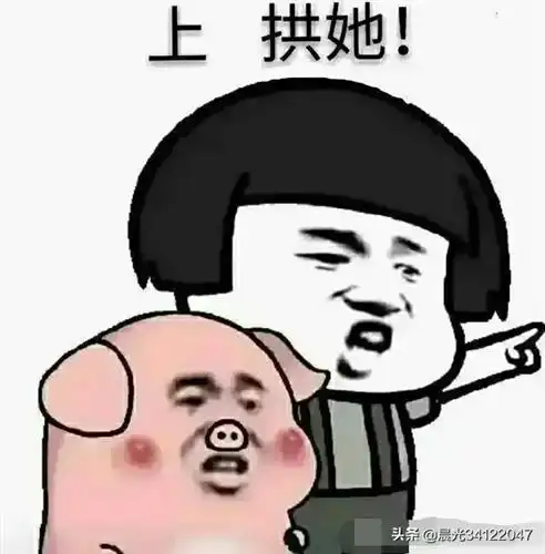 巨单压盘,老铁们难道这票要停盘了