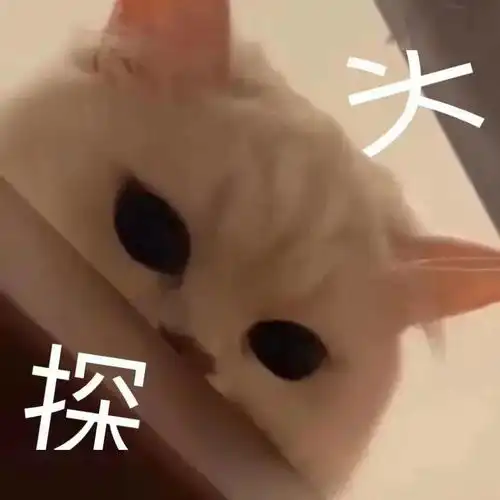 帮会录这个帮会有什么魔力,令蒲家村的小蝴蝶看到他们就瑟瑟发抖