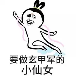 玄甲军何在表情包