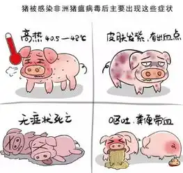 为啥非洲猪瘟疫情不断看完你就明白了
