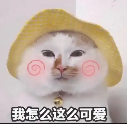 沙雕表情包l我人傻了都