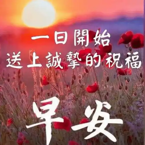 12月2日最美早安问候语表情图片,最新漂亮早上好表情动态图