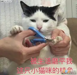 可以的我的小宝贝表情包我偏无理取闹除非先生抱抱表情包图片下载乐游网游戏下载