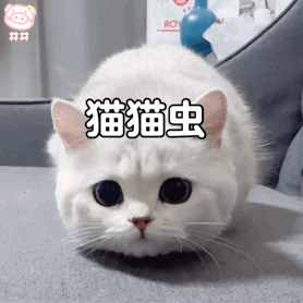 搞笑图集女子为了让男友戒烟,两人天天在加油站发呆