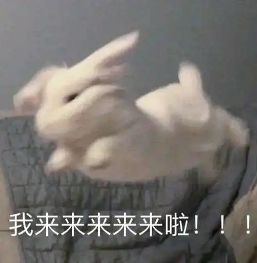 拿来吧你时隔一周它又双叒叕来了