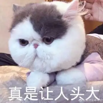 我才是啤啤虹的微博微博