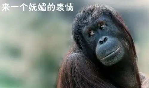 每日一笑这样碰瓷,你是专业出身,让人由衷佩服