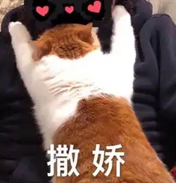 气温飙升至27赣州开启回温模式但接下来
