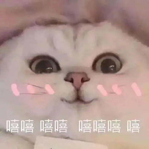 新人养猫必进猫车群,买猫粮省一半钱