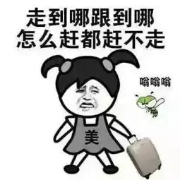 夏至追世界杯的夜晚,拒绝蚊子给你发红包