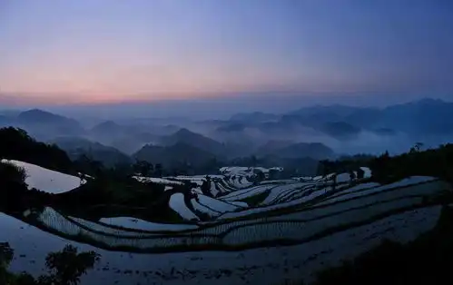 前线来报天台那几块水田成了摄影师的天堂