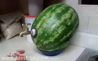 最新幽默笑话大全,搞笑段子大全,搞笑动态图片大全第26387页别逗了笑话网